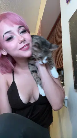 all my love goes to this stink #cat #fypシ 