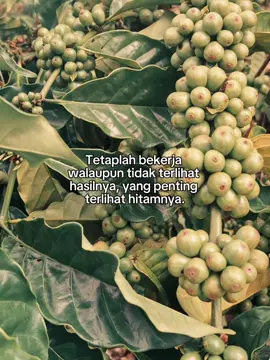 🧔#petanikopimilenial #sobattani #fyp #fypシ 