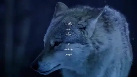 عزي لحالي #اكسبلورexplore #عزف #viral 