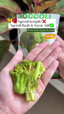 Ngemil sehat rendah kalori✨🍓🥦🫛 Freeze dried sayur - sayuran dan buah - buahan dari @wellmade.food! 100% buah dan sayur asli, tanpa pemanis tambahan dan nutrisinya tetap terjaga! Enak bangetttt apalagi yang strawberry dan broccoli.  Cuss kalian bisa cek ke instagramnya yaa! @wellmade.food  #snacksehat #freezedriedfruit 