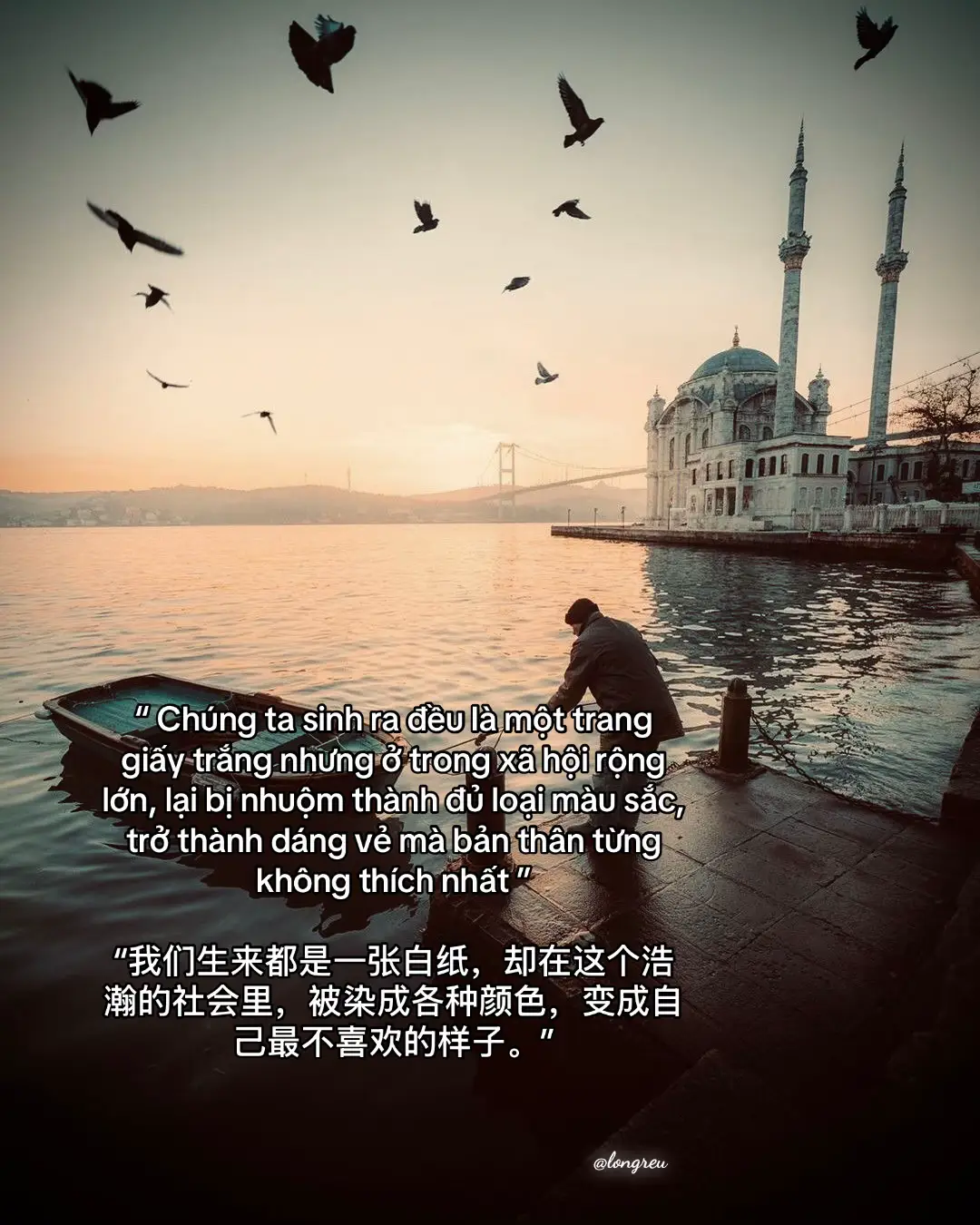 “ Chúng ta sinh ra đều là một trang giấy trắng nhưng ở trong xã hội rộng lớn, lại bị nhuộm thành đủ loại màu sắc, trở thành dáng vẻ mà bản thân từng không thích nhất ” “我们生来都是一张白纸，却在这个浩瀚的社会里，被染成各种颜色，变成自己最不喜欢的样子。”#fyp #longreu #cuocsong #caphay #caption #xuhuongtiktok #thinhhanh #