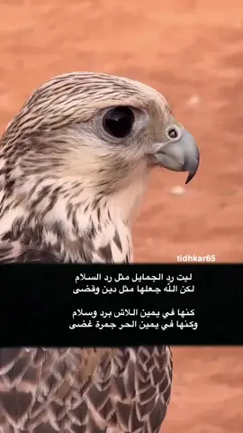 ###السعوديه_الرياض_حايل_جده_القصيم_بريده #هشتاقاتي_الترند_المشهور #انتسارسريع #اكسبلور #هاشتاق 