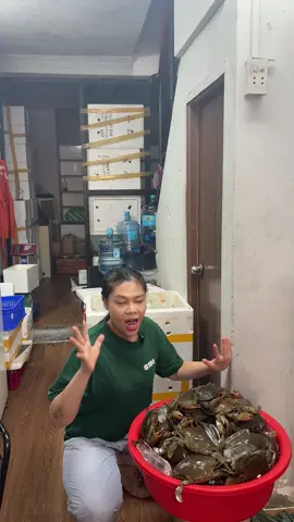 Cua em có rồi nha mn 214f nguyễn trãi, phường nguyễn cư trinh, quận 1 #phuongoanhdaily #cuakhongday #oanhcua 