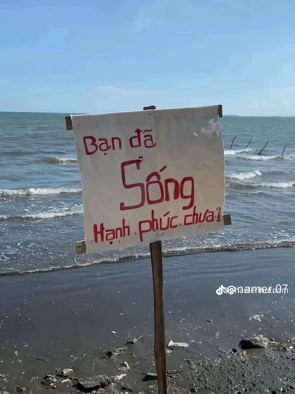 thấy cũng dui #xuhuongtiktok #xuhuong #vungtau #baibienvungtau #motminh #buon_tam_trang 