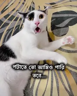 আমিও পারি তবে....#fyp #rhr18 #foryou 