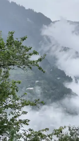 Haye 🫀#kashmir #kashmir #fypシ゚viral🖤#fypシ゚viral🖤video #naturephotography 