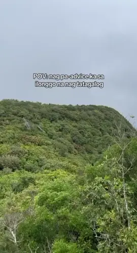 Sege pu