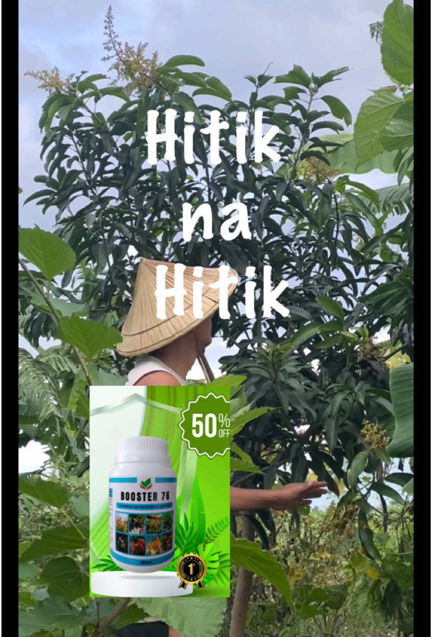 Para sa hitik na bunga at masaganang ani.Effective bloom booster 76. #bloombooster #floweringhormones #floweringbooster #hitik #booster76 