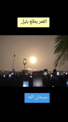 القمر يطلع بليل  #سودانيز_تيك_توك_مشاهير_السودان 