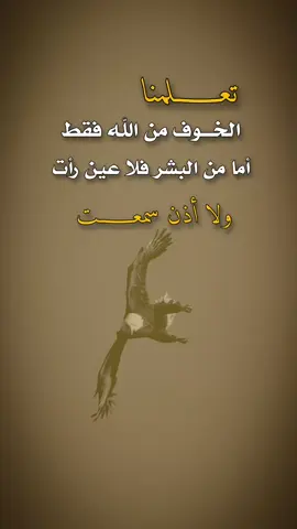 مساء الخير #عبارات #تصميم_فيديوهات🎶🎤🎬 #اكسبلور 
