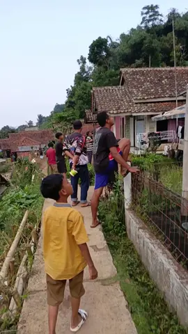 #fyp #layanganindonesia 