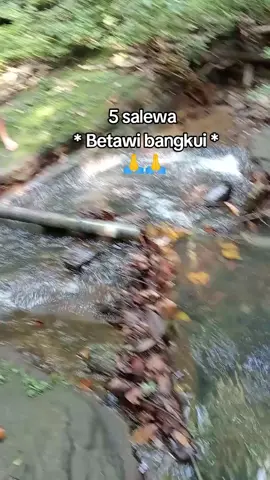 salam satu perguruan #kuntaubetawibangkui #kuntaudayak #salambudaya #lewatberandamu #marszre🥰 #dayakgantengdayakhebat💪 #xyzbca #4upageシ #fyp #ijinpost🙏 #fyppppppppppppppppppppppp 