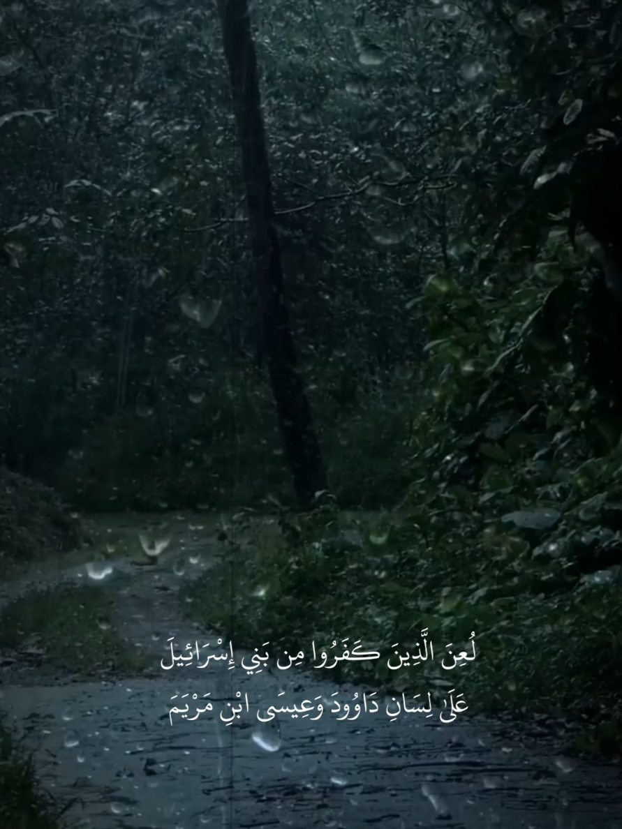 #القران_الكريم #اسلام_صبحي #اجر_لي_ولكم #Quran #quran_alkarim @Islam Sobhi اسلام صبحي 