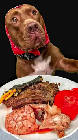 Pitbull eating rawfoods 🍖お肉はこちらで購入してます👇 　　　　　　https://www.wan-mart.com/ #ASMR #dogasmr  @BounceThePitbullﾊﾞｳﾝｽﾁｬﾝﾈﾙ🇯🇵 