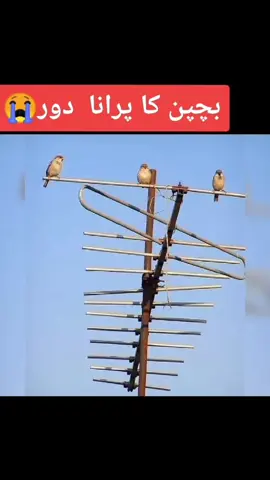 #foryoupage #fyp #trendingsong #asifmanzoor #tiktokuk🇬🇧uk #80s #foruyou #viralditiktok #asifmanzoor17 #trendingvideo #cupcut #childhoodmemories #90skidsmemories🥺 #pakistan #imrankhan #growmyaccount #foryoupage❤️❤️ #fyppppppppppppppppppppppp #90smemories 