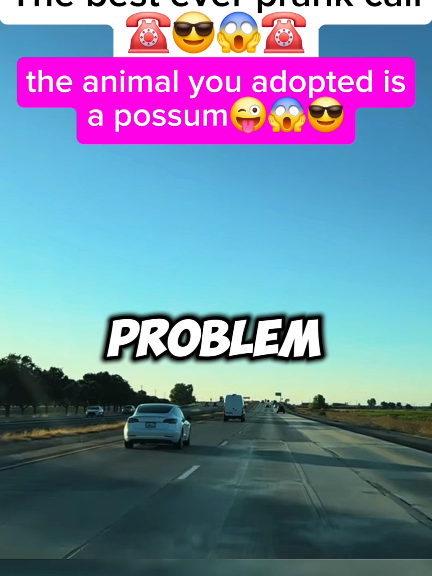 the animal you adopted is a possum🧐😜😱😎 Credits: @The Jubal Show  #brookeandjubal #funny #phonecall #fyp #prank #funnyy #prankcall #radio 