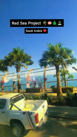 i love Slaudi Arabia ❤️ wonderful place shura island #foryoupage #foryou 