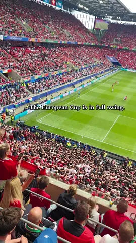 Happy Friday🥳🥳 #fridge#commercialrquipment#equipment#hospitality#fridayvibes#beer#kitchen#eventhire#ireland#refrigerator#chinafactory#europeancup#matches#fan#Summer 