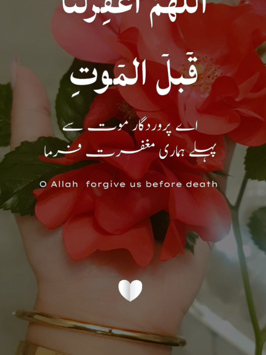 🦋🌸🦋# O  ALLAH forgive us before death 💗Ameen Summa Ameen 🤲 🥀#islamic_video #islamic #status #urdu #statusvideo #tik_tok #for_you #fypg #support #uktiktok #viralvideos #viralvideotiktok #fyppp #fypppppppppppppp #england #🦋🌸🦋 