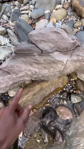Wow!!! I found a fine material inside the rock fragments, and it turned out to contain many gold grains. #fyp #goldmining #goldpanning#findinggold #lookingforgold #goldhunting #goldcoin #gold #viralvideo #goldprospecting 