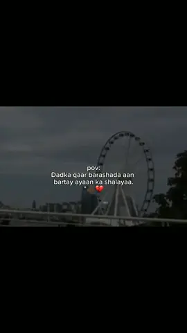 #Waa ka shalayaa.👍🏿💔 #veiwsproblem #Writer_Z4ck 