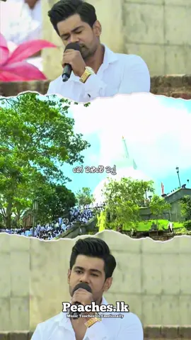 පොඩි කාලේ ආසාවෙන් අහපු මේ සින්දු මේ කටහඬින් අහනකොට දැනෙන්නෙ වෙනමම හැඟීමක් 🥺🤍 බෝ මළුවේ මල් | Bo Maluwe Mal ( Cover ) Raveen Kanishka 🎤 #peaches_🔮🎧 #peacheslkmusic #foryou #foryoupage #fyp #viralvideotiktok #music #lyrics #asthetic #pageforyou #1millionaudition #1m #bomaluwemal #raveenkanishka #coversong #naadasamadhi #tvderana #poyaday #esalapoyaday #trending?song🔥 #creatorsearchinsights  @gangasiripura dhammaloka thero 