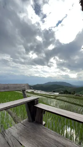 อยากจะพัก.⛰️🌧️🌫️🌾🫶🏻 #ป่าบงเปียงเชียงใหม่ #ดาวบ้านดอยป่าบงเปียง #ลุงเตดาวบ้านดอย #ป่าบงเปียงแม่แจ่ม #เชียงใหม่หวานเจี๊ยบ #ป่าบงเปียง2025