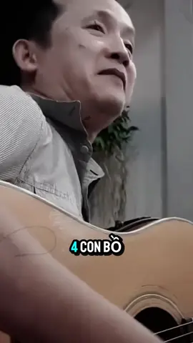 Nhạc chế 4 con vợ bé #phannam #nhacche #xuhuong #thinhhanh #nhacvuimoingay #nhachaymoingay #bandnhacfamilyband 
