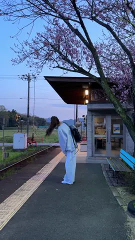 Spring or Winter in Japan? 