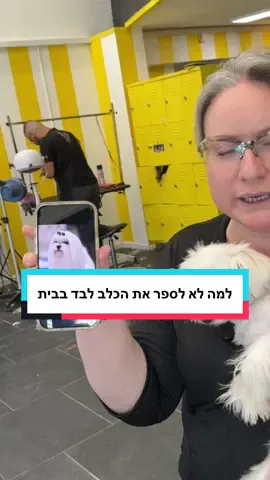 למה לא לספר את הכלבים לבד בבית ? #כלבים #טיפוחכלבים #ביתספרלספרותכלבים #הומור #מלטז #כלב #פוריו #ספרותכלבים #מיאקישבסושיאל @myakyshevs 