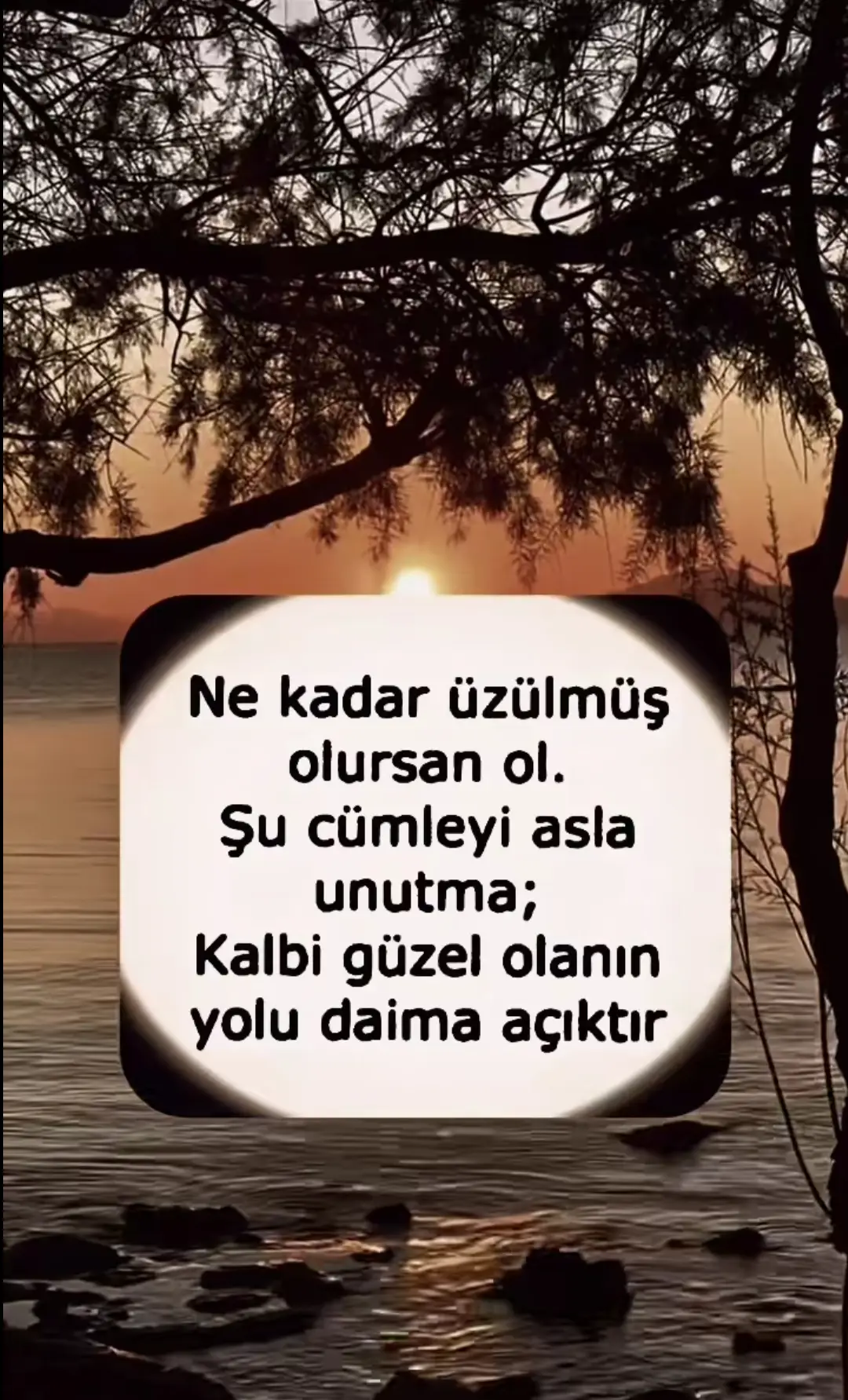 #keşfett #keşfett #keşfet #keşfet #keşfet🌿 #keşfet🌿#anlamlısözler ##güzelsözler #günesözbırak #gününsözü  #keşfetedüşürbenitiktok🌹🕊️ #keşfettiktokk #keşfet🌿🍀keştet❤tiktok🍂 #keşfettiktokk #keşfetedüş #keşfetalbeni #keşfetalbeni #keşfetbeniöneçıkar #keşfetedüş #keşfetbeniöneçıkar #beniöneçıkart #beniöneçıkart #fyppp #fypp #keşfetteyizzz #keşfett 