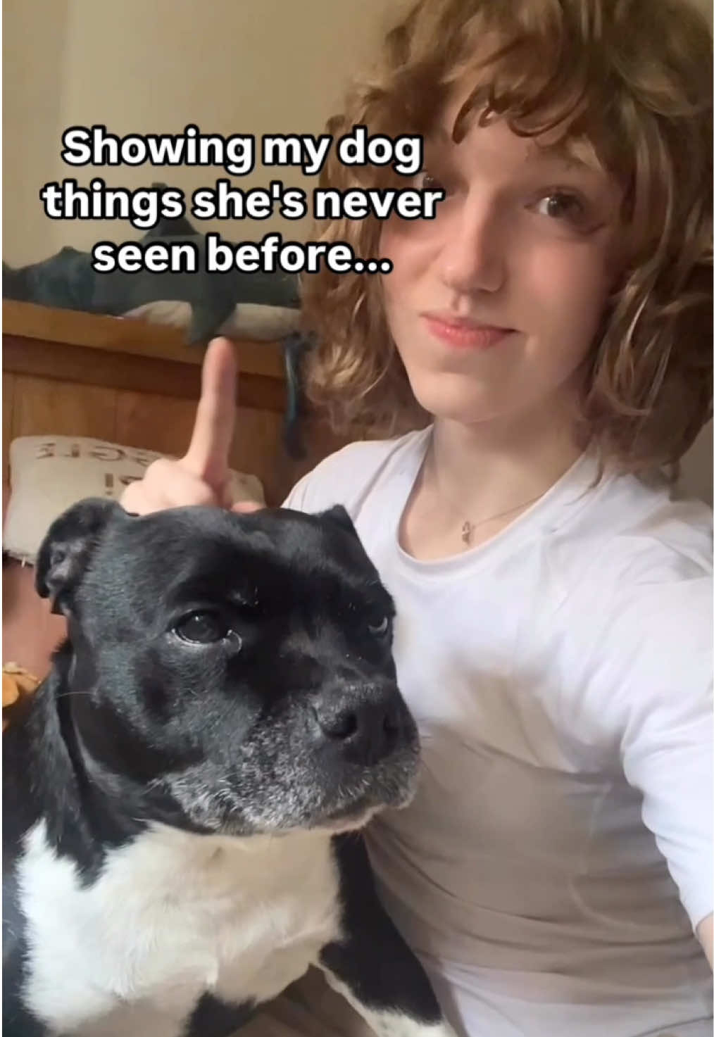 #memes #memesdaily #fyp #gymgirl #viral #dog 