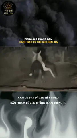 TIẾNG SỦA TRONG ĐÊM: CẢNH BÁO TỪ THẾ GIỚI BÊN KIA #xuhuongtiktok #LearnOnTikTok 
