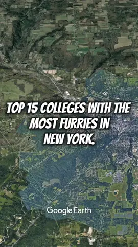 Top 15 colleges with the most Furries in New York. #fyp #usa #college #furries #foryou #newyork #googleearth 