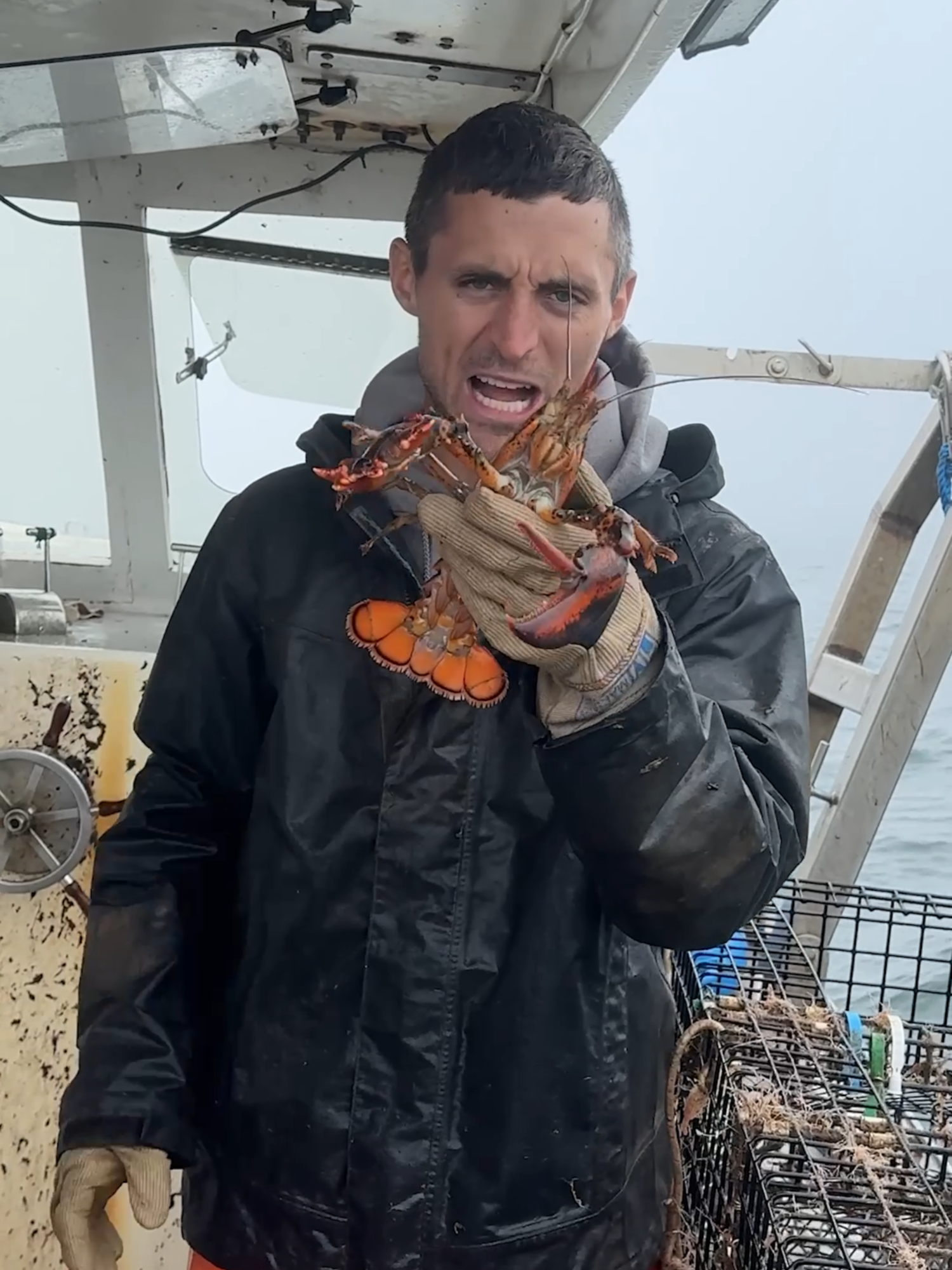 Whats your favorite way to cook a Lobster?! Head over to www.lukeslobster.com and get some lobsters! Let me know your favorite way to cook them! @lukeslobster#lukeslobsterpartner #maine #interesting #fishing #seafood #commercialfishing #Outdoors #educate #learn #lukeslobster #sustainable #cooking #lobster #lobsterroll