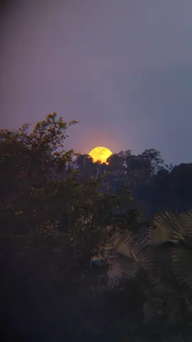 Full buck moon
