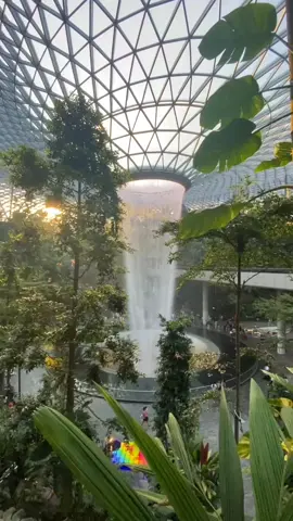 Beautiful Jewel Changi Singapore 🇸🇬 ❤️ #singapore #changi #fyp #xyzbca #foryou #waterfall #jewelchangi 