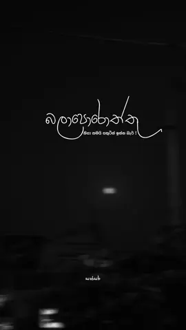 බලාපොරොත්තු 🤍! #sathsaraqutoes #fypシ #viralvideo #foryoupage #whatsappstatus #sinhalaquotes 