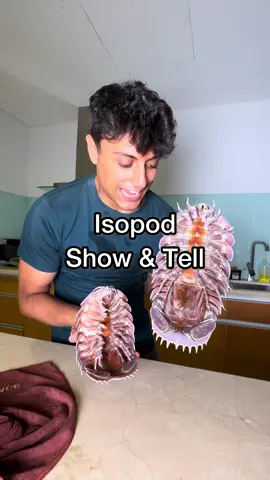 I love isopods 🥰 #seafood #seafoodlover #isopods #isopods 