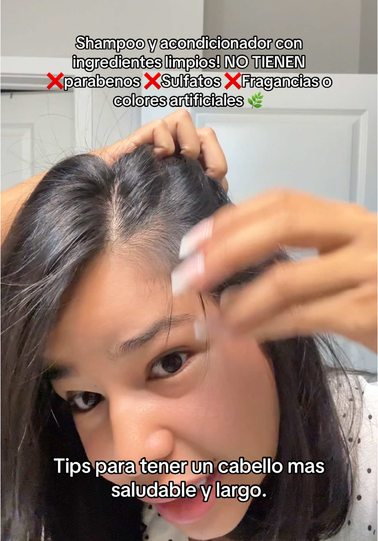 Shampoo y acondicionador que no comtienen ingredientes dañinos. Rutina para el cuidado de tu cabello. #dealforyoudays #cuidadodelcabello #productosdelcabello #caidadelcabello #romeroparalacaidadecabello #shampoonatural #shamposinsulfato #shamposinsalessulfatosyparabenos 