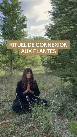 Connecter avec les plantes peut être simple et accessible ✨🌿 #animabotanica #plantesmedicinales #remèdesnaturels #cueillettesauvage #rituel #nature #herboristerie 
