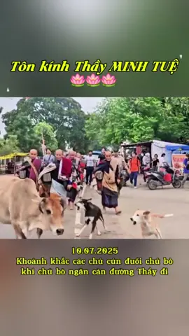 Khoảnh khắc các chú cún bảo vệ Thầy 🪷