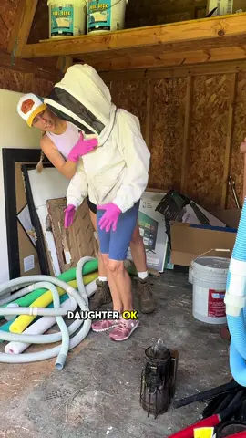 My moms first bee removal #savethebees #beekeeping #honeybees 
