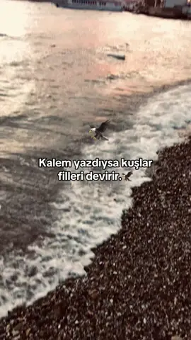#kardeşinietiketle🦅 #