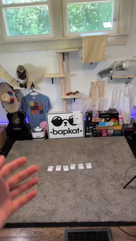 baps from above #cat #cameos #bap #fyp #fanvideos