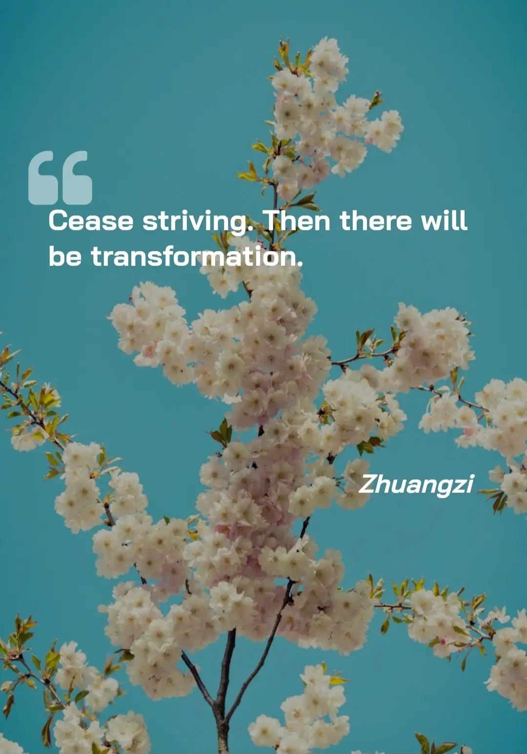#quotes