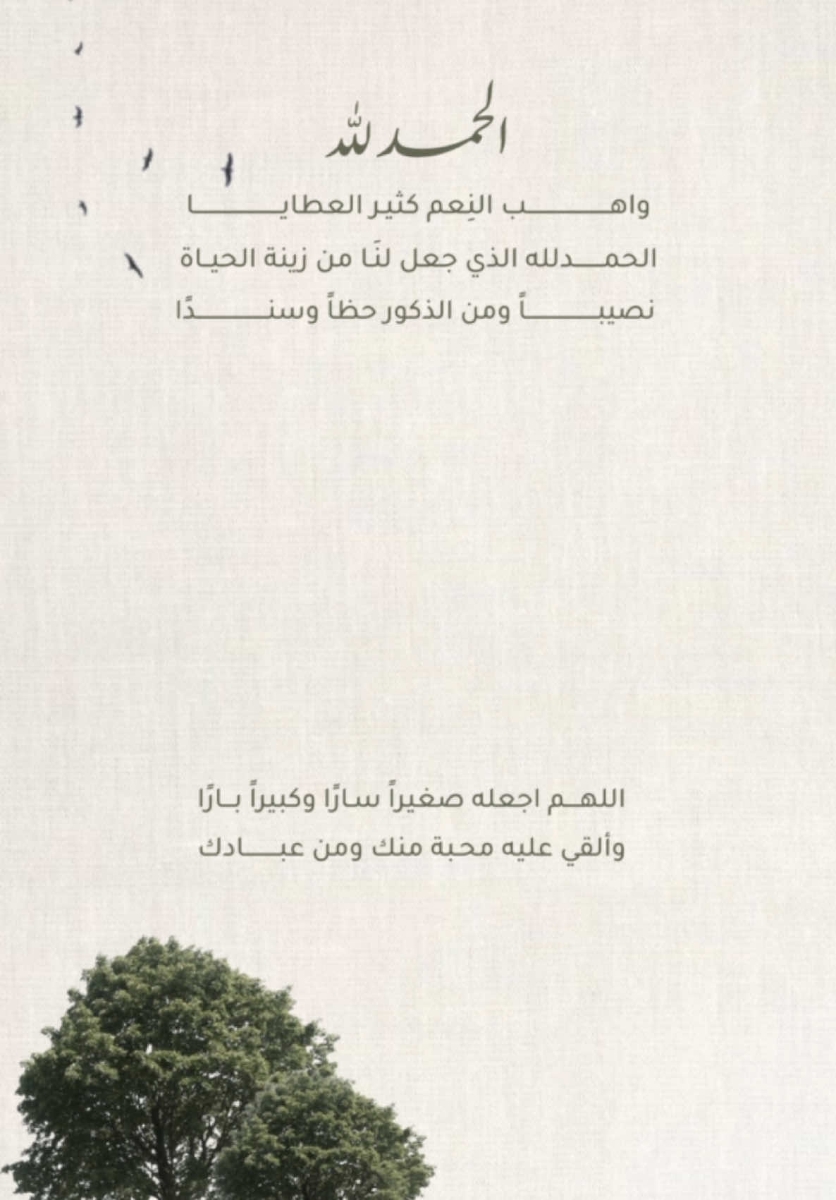 بشارة مولود بدون اسم او حقوق💚💚   #دعوات_الكترونية #تصاميم_فيديوهات #بشارة_مولودة #بشارة_مولود #بشارة_مواليد #استقبال_مواليد #بشارة_مولود_إلكترونية #fypシ #explore 