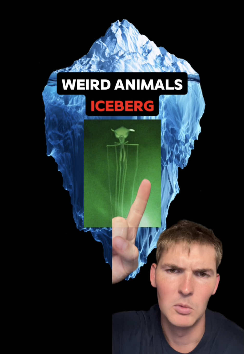 Weird Animals Iceberg EXPLAINED