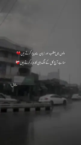 Suna ha yahi karobar log krty hein🥺 #hehe_sanwl #foryouu #foryoupage #growmyaccount #aesthetic #aestheticvideo #fyp #urdu #urdupoetry 