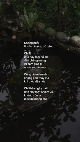 …#tamtrang #story 
